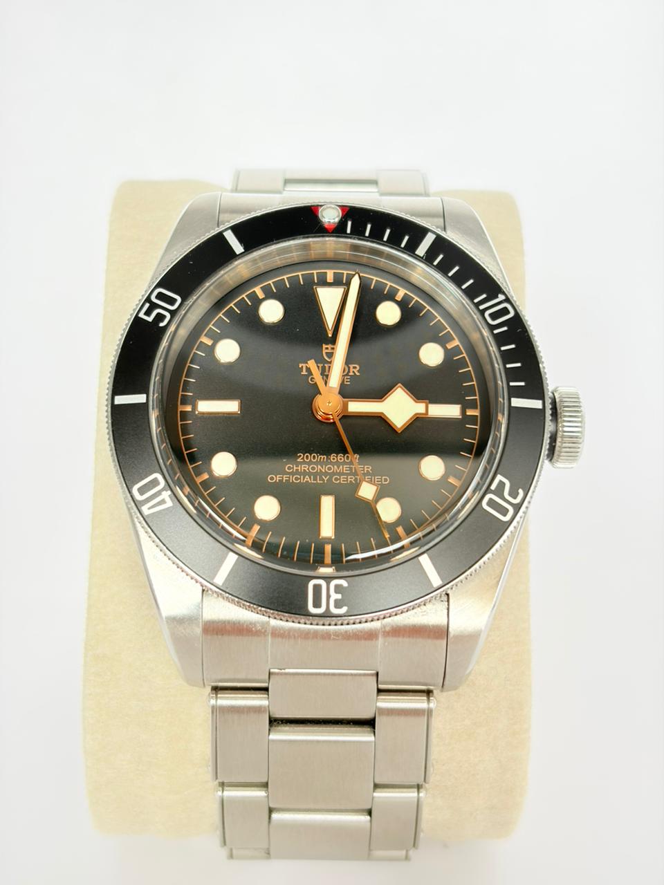 Tudor Black Bay